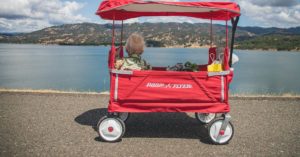 Read more about the article 7 Reasons You Need Stroller Wagon